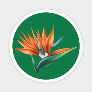 Strelitzia tropical flower Magnet